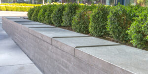 Benefits of well maintained commercial grounds for employees 