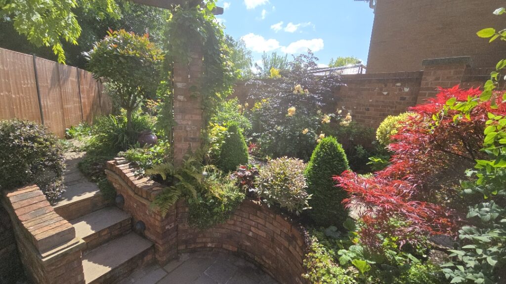 neglected garden