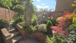 neglected garden